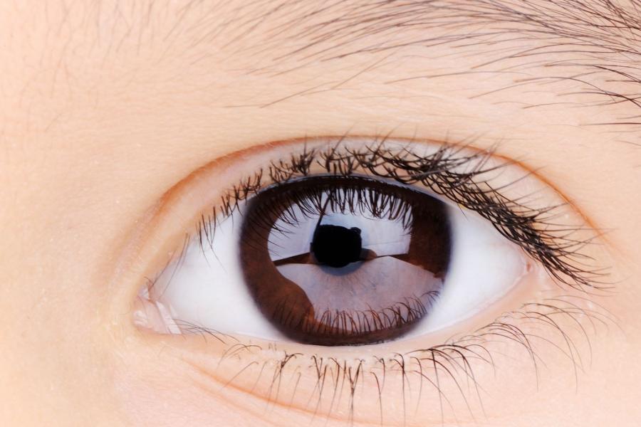 Eyes KidsHealth NZ